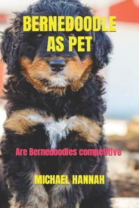 Bernedoodle as Pet