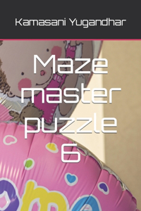 Maze master puzzle 6