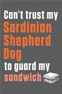 Can't trust my Sardinian Shepherd Dog to guard my sandwich