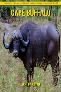 Cape Buffalo