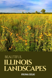 Beautiful Illinois Landscapes