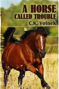 Horse Called Trouble