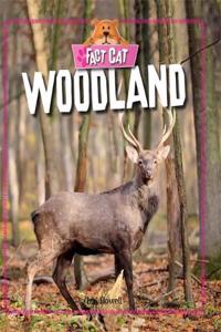 Fact Cat: Habitats: Woodland