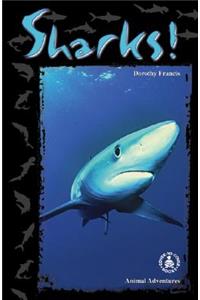 Sharks!