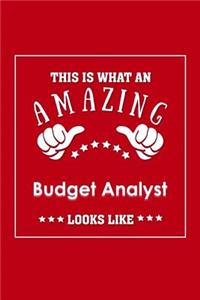This is What an Amazing Budget Analyst Look Like