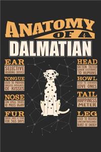 Anatomy Of A Dalmatian