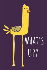 What's Up?: Lined Notebook / Journal With Funny Chicken Design