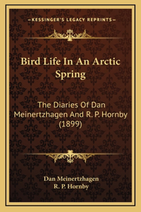 Bird Life In An Arctic Spring