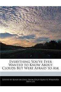 Everything You've Ever Wanted to Know about Clouds But Were Afraid to Ask
