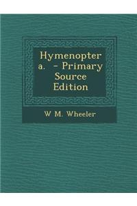 Hymenoptera.
