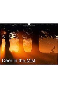 Deer in the Mist 2017
