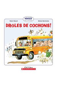 Drôles de Cochons!