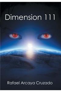 Dimension 111