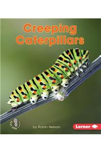 Creeping Caterpillars