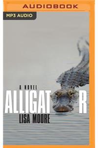 Alligator