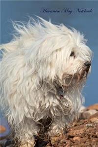 Havanese May Notebook Havanese Record, Log, Diary, Special Memories, To Do List, Academic Notepad, Scrapbook & More