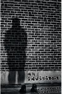 Mr. Invisible