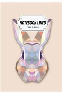 Rabbit Design Notebook