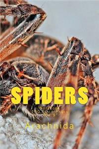 Spiders