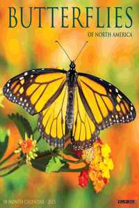 Butterflies 2023 Wall Calendar