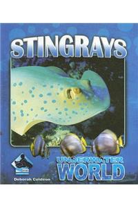 Stingrays