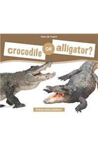 Crocodile or Alligator?