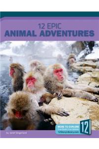 12 Epic Animal Adventures