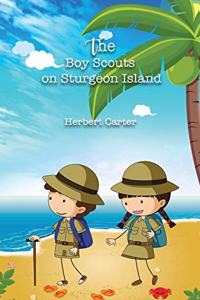 The Boy Scouts on Sturgeon Island