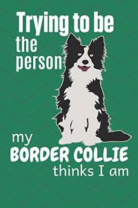 Trying to be the person my Border Collie thinks I am