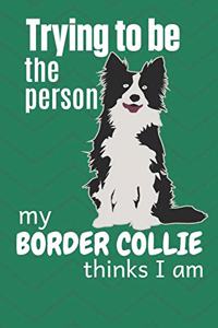 Trying to be the person my Border Collie thinks I am