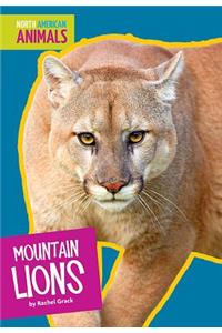 Mountain Lions