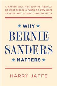 Why Bernie Sanders Matters