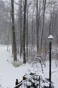 2020 Weekly Planner Winter Day Cold Snowy 134 Pages