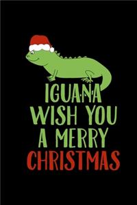 Iguana Wish You A Merry Christmas