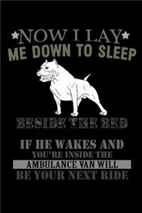 Now I Lay me Down to Sleep Beside the Bed My Pitbull I Keep If he Wakes and You're Inside the Ambulance Van Will Be your Next Ride