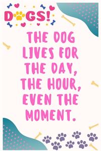 The dog lives for the day, the hour, even the moment