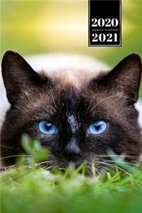 ???? ?? ??? ?? ?? ????? ??? 2020 - 2021 A5 ??????? ?&