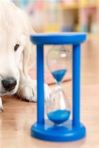 2019 Daily Planner Cute Puppy Labrador Retriever Hourglass 384 Pages