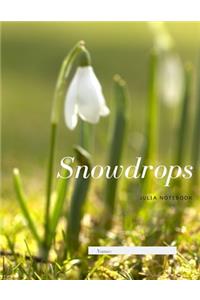 Snowdrops