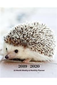 2019 - 2020 18 Month Weekly & Monthly Planner
