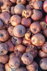 Cider Apples Ready to be Used Journal