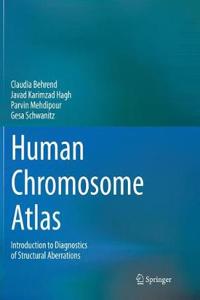 Human Chromosome Atlas