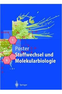 Poster Stoffwechsel Und Molekularbiologie