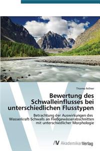 Bewertung des Schwalleinflusses bei unterschiedlichen Flusstypen