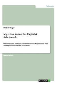 Migration, kulturelles Kapital & Arbeitsmarkt: Orientierungen, Strategien und Probleme von MigrantInnen beim Einstieg in den deutschen Arbeitsmarkt