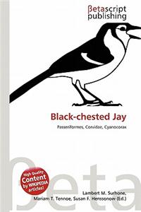 Black-Chested Jay