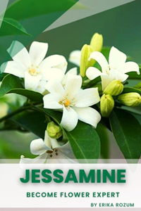 Jessamine