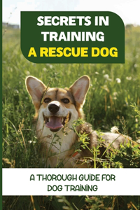 Secrets In Training A Rescue Dog