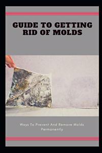 Guide To Getting Rid Of Molds