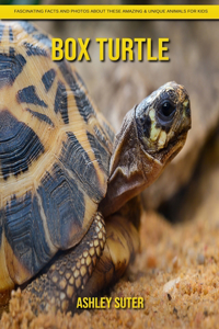 Box Turtle